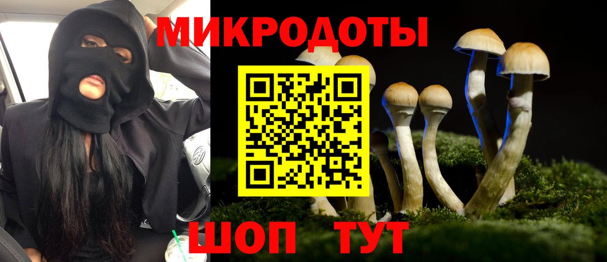 Псилоцибиновые грибы мицелий Советская Гавань